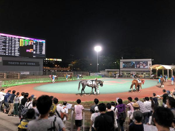メインレースのパドック