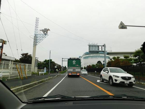 ヒシアマゾン号と中山競馬場