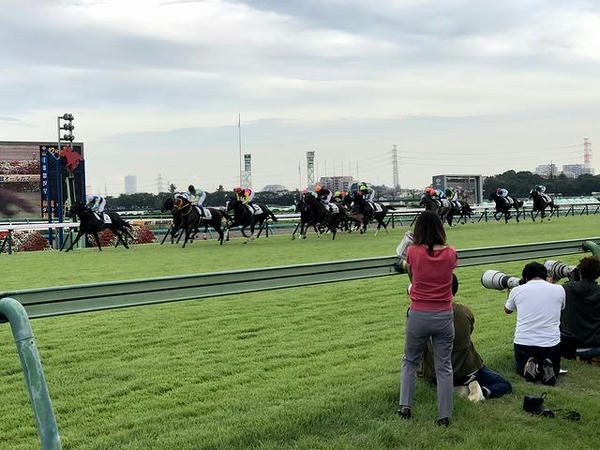 最終レースのゴール