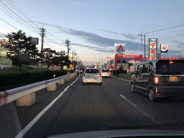国道294号を行く
