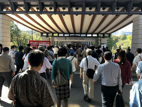 東京競馬場入り口付近