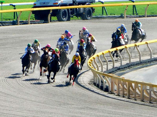 第1レースの最終コーナー