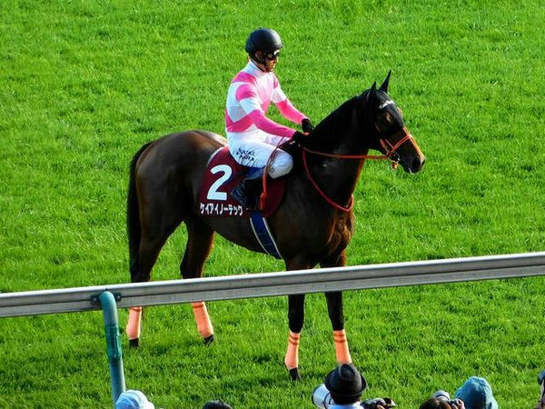 馬場入り時のケイアイノーテック号と藤岡佑介騎手