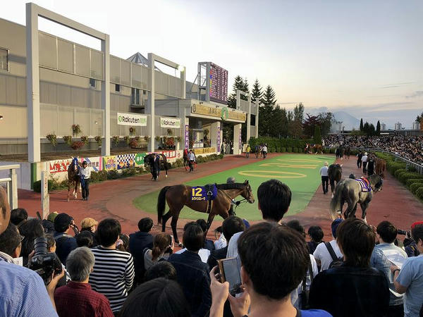 マイルチャンピオンシップ南部杯のパドック