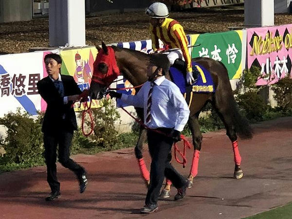 3番人気の(1)ノンコノユメ号と内田博幸騎手