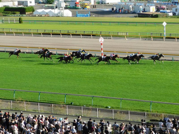 「毎日王冠」レース中の様子