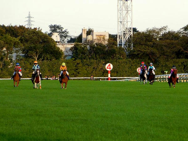 「ジョッキーベイビーズ」決勝大会の様子
