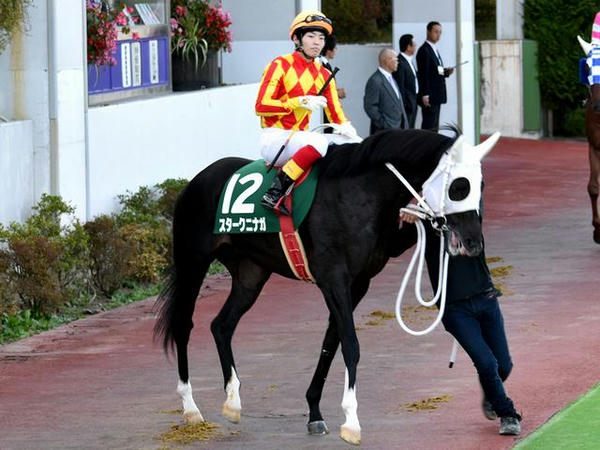 2番人気の(12)スタークニナガ号と瀧川寿希也騎手（川﨑）