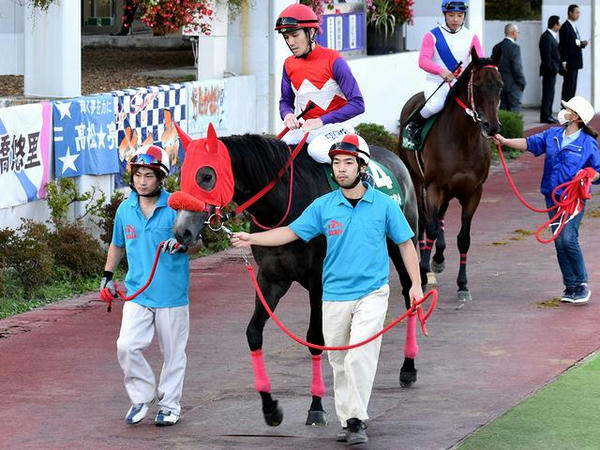5番人気の(4)ショコラパフェ号と和田譲治騎手（大井）