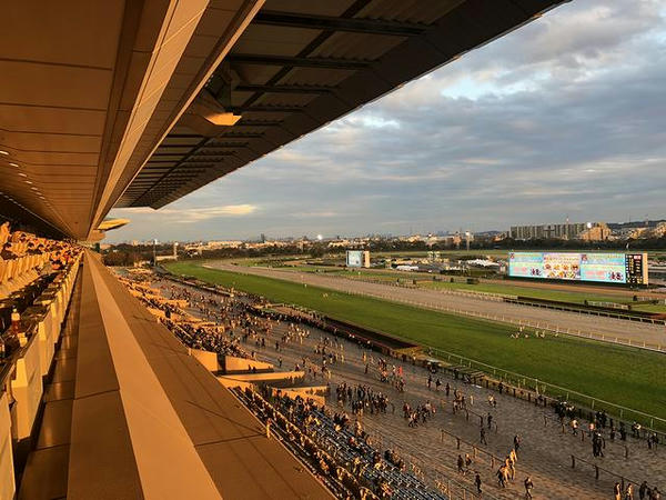 最終レース終了後の競馬場