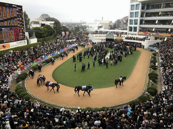 第63回有馬記念のパドック