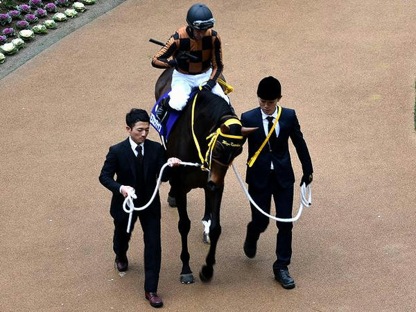 (3)モズカッチャン号とM・デムーロ騎手