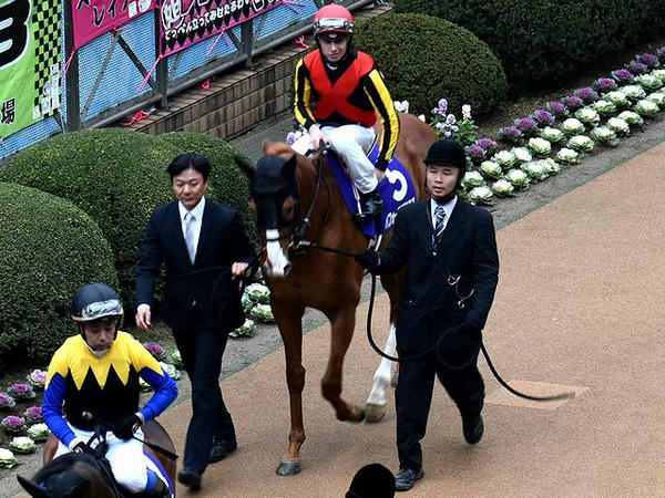 (5)パフォーマプロミス号とC・デムーロ騎手
