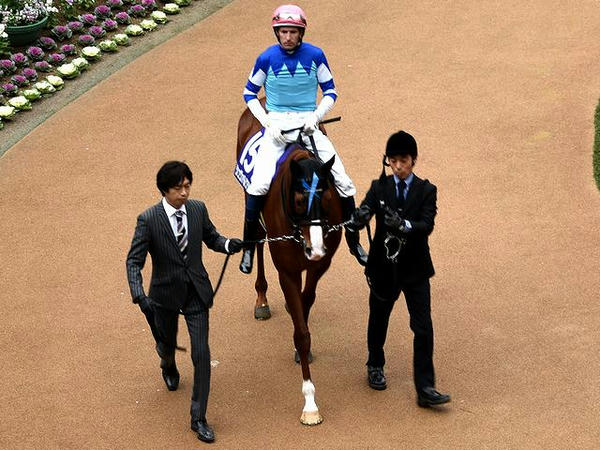 (15)シュヴァルグラン号とH・ボウマン騎手