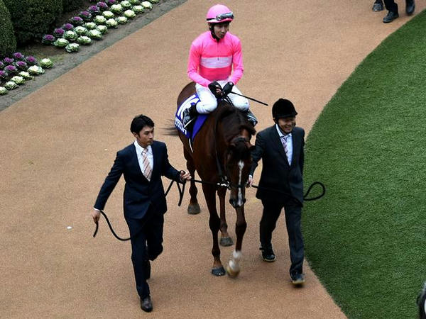(16)サクラアンプルール号と田辺裕信騎手
