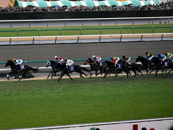1週目のホームストレッチ