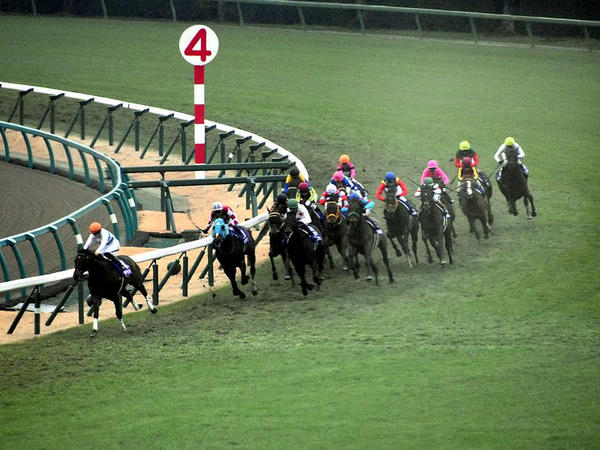 中山競馬場訪問記 【平成30年12月23日・第63回有馬記念（GⅠ）他