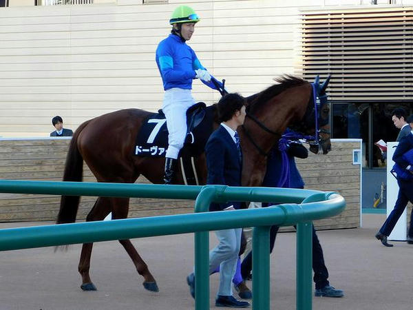 馬場へと向かう(7)ドーヴァー号と田辺裕信騎手