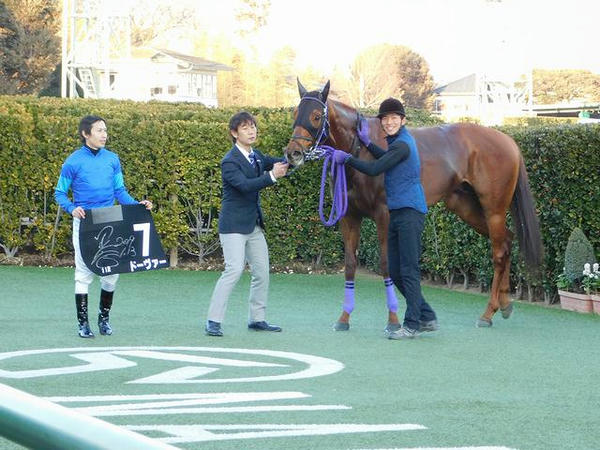 優勝したドーヴァー号と田辺裕信騎手