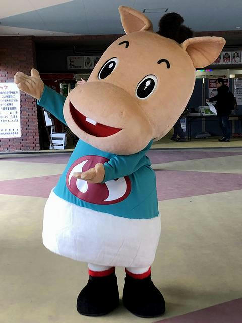 パッカル君グリーティング
