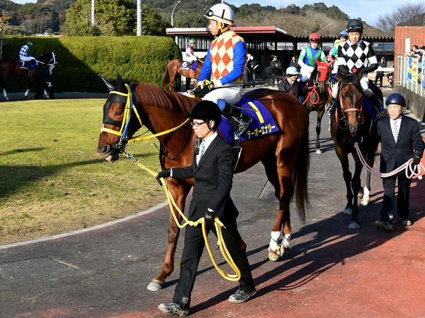 (1)テーオーエナジー号（牡4・JRA）と岩田康誠騎手（JRA）