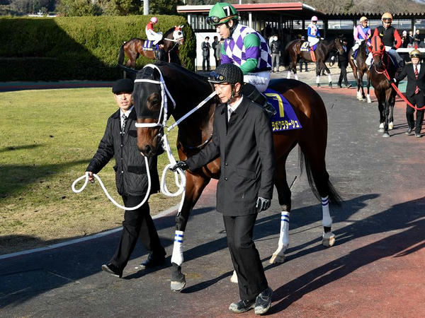 (7)ヒラボクラターシュ号（牡4・JRA）と山本聡哉騎手（佐賀・期間限定）