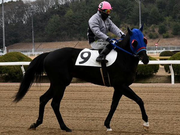 第2レースで防寒服を着る倉富隆一郎騎手