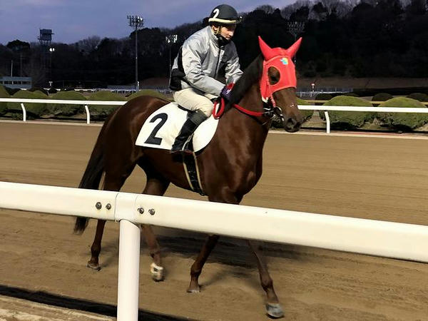 最終第11レースで防寒服を着る石川慎将騎手