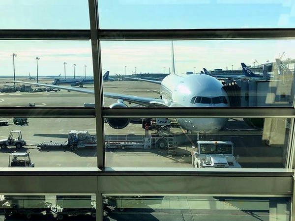 羽田空港に駐機中のANA245便