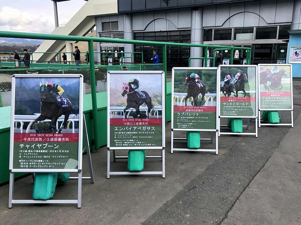 2018年度代表馬等パネル展示