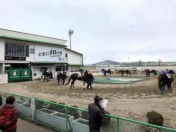 2019年仕様のパドック