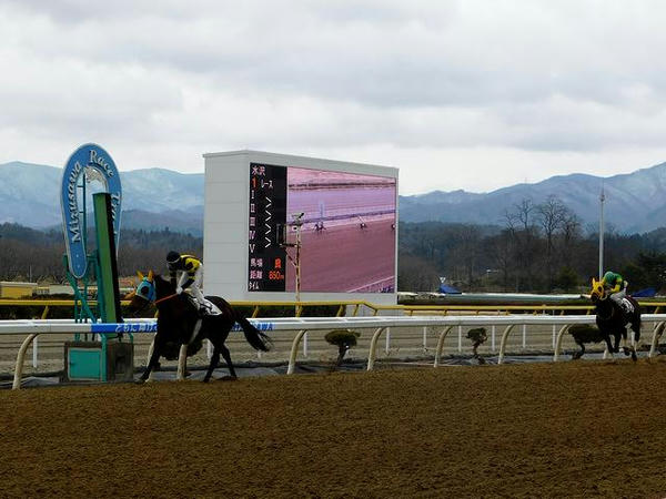 第1レースのゴール