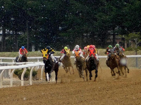 第2レースの最終コーナー立ち上がり