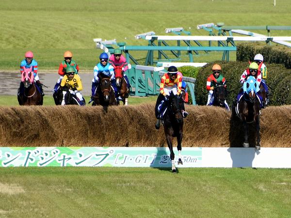 大竹柵障害を飛越するオジュウチョウサン号他各馬