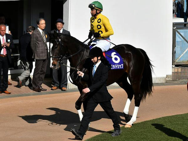 (6)ラピッドシップ号（牡5・北沢伸也騎手）