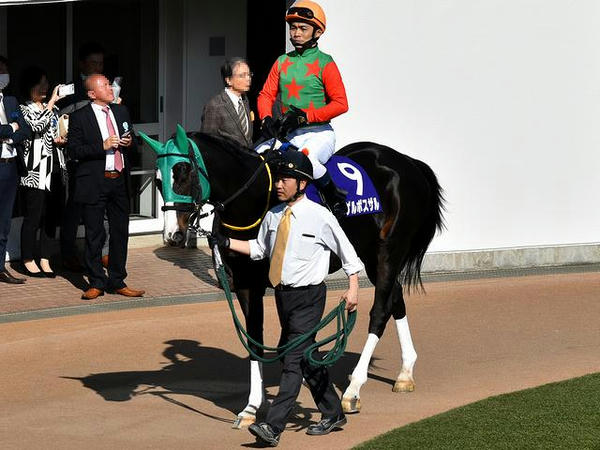(9)シゲルボスザル号（牡5・植野貴也騎手）
