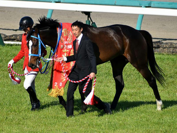 優勝レイを掛けられたオジュウチョウサン号