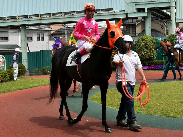 第6レースパドックでの内田利雄騎手