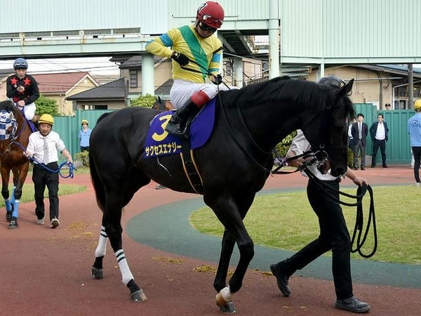 1番人気の(3)サクセスエナジー号（JRA、牡5歳、池添謙一騎手）