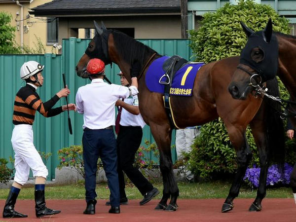 2番人気の(1)キタサンミカヅキ号（船橋、牡9歳、森泰斗騎手）