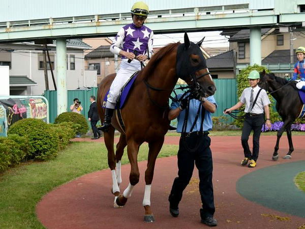 3番人気の(5)サンライズノヴァ号（JRA、牡5歳、JRA戸崎圭太騎手）