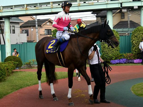 5番人気の(2)モーニン号（JRA、牡7、JRA藤井勘一郎騎手）