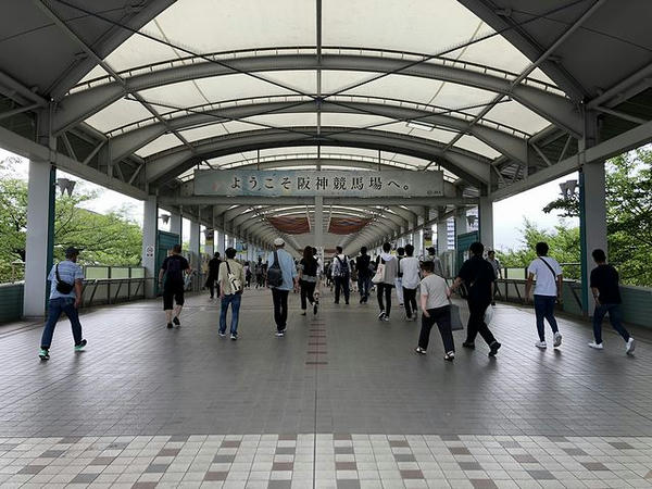 地上通路
