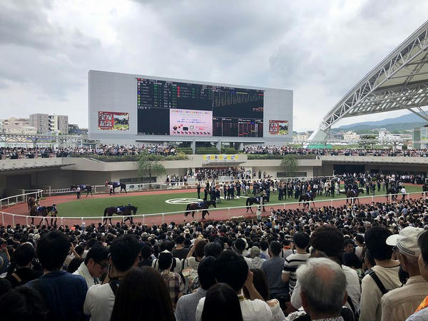 宝塚記念のパドック