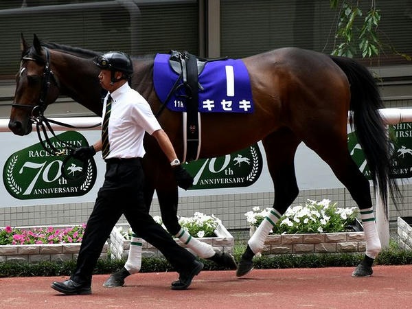 1番人気の(1)キセキ号（牡5歳） ※川田騎手が跨った写真は撮れず