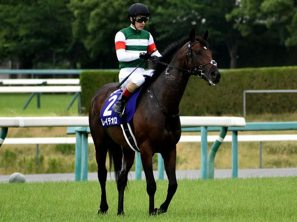 2番人気の(2)レイデオロ号（牡5歳）とC・ルメール騎手 ※馬場入り後