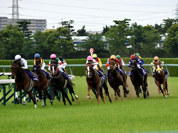 最終コーナー出口