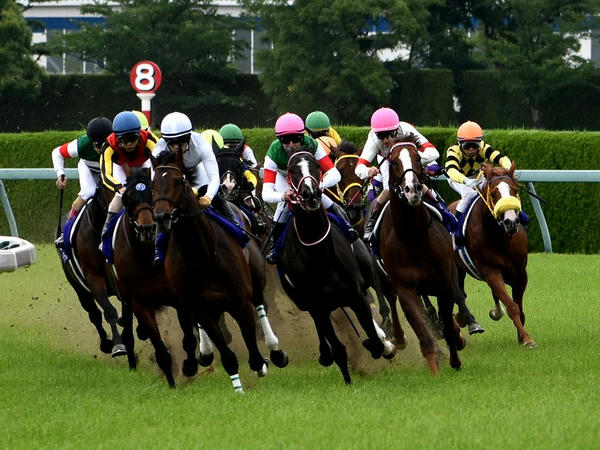 第60回宝塚記念の最終コーナー