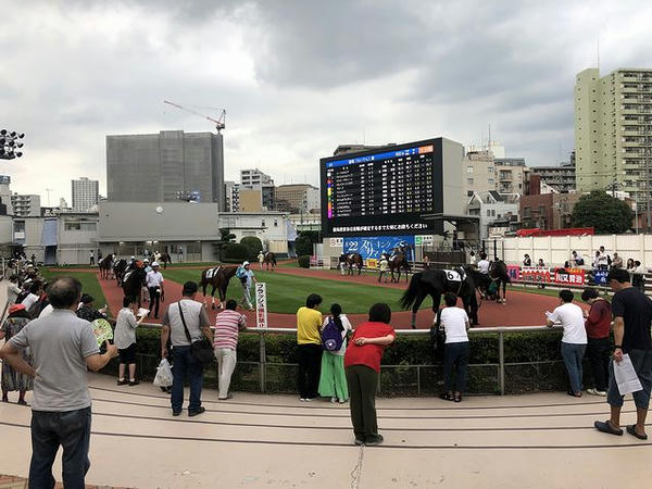 第4レースのパドック