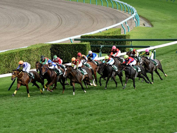 最終コーナーを立ち上がる各馬